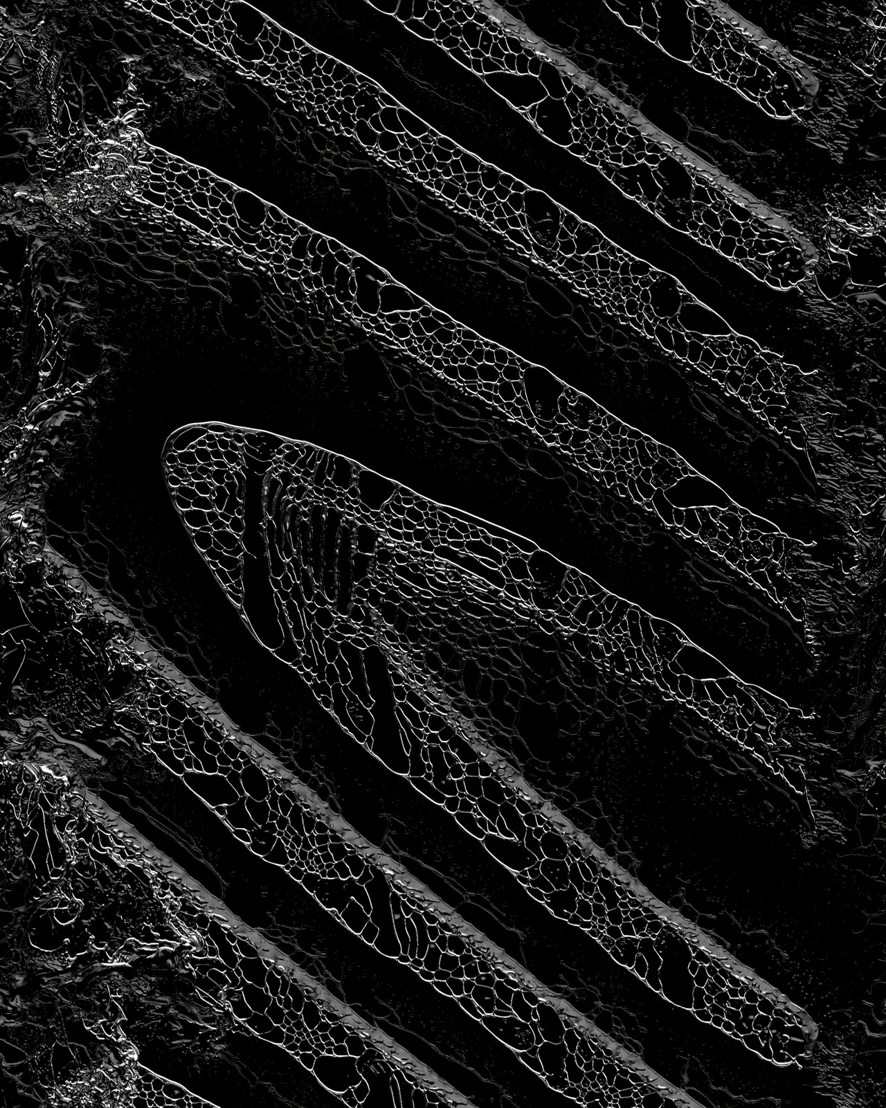 Descent #41